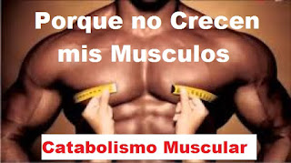 Catabolismo Muscular