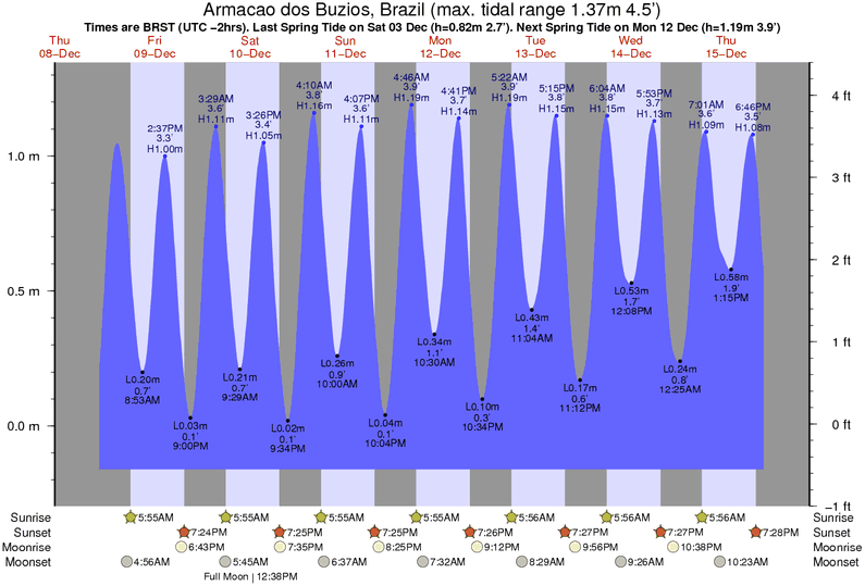 Tropical Daydreams The Ebb and Flow of the Tides