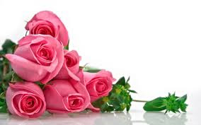 free downlod love rose dil  hd wallpapers 0020