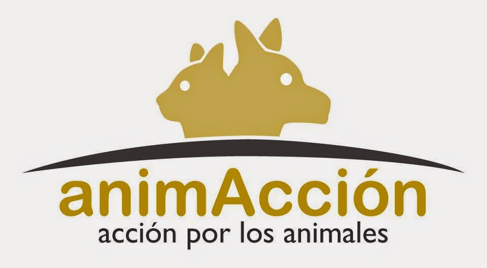 animAcción 