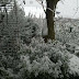 Πανέμορφο το χιονισμένο Καρτέρι Θεσπρωτίας (+ΦΩΤΟ)
