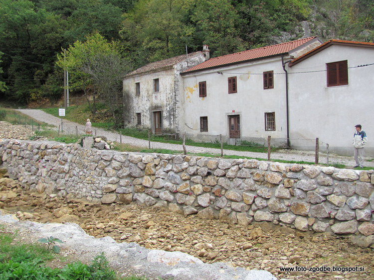 Osp, Osapska reka Slovenija, J. Primorska