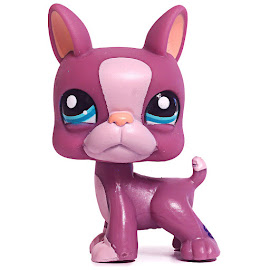 Littlest Pet Shop Special Boston Terrier (#2229) Pet