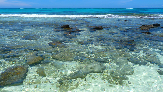 The clear waters of Nanuku Island, Fiji.