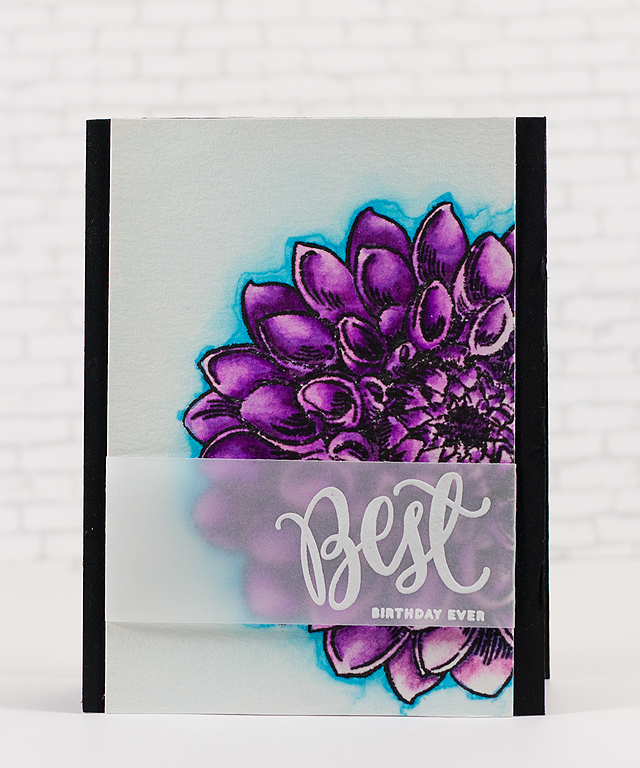 My Pink Mexico: Best Birthday Ever