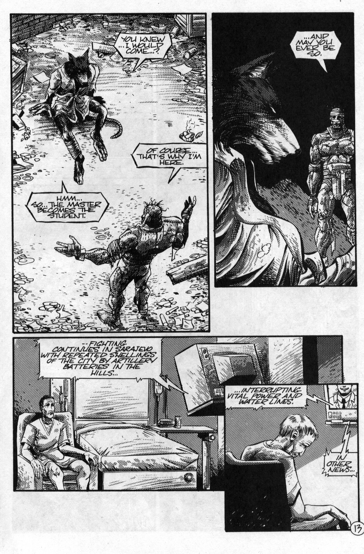 Teenage Mutant Ninja Turtles (1984) Issue #58 #58 - English 15