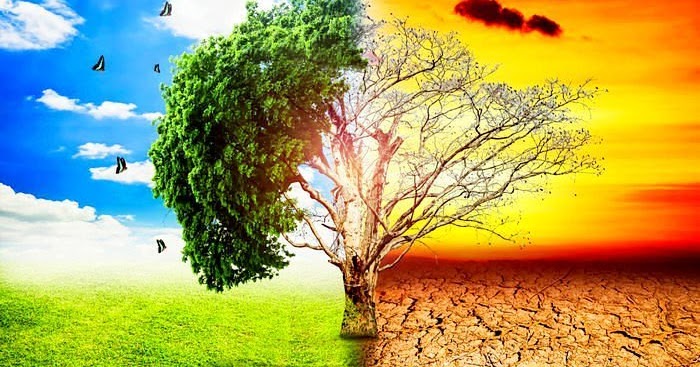 Contoh Karangan Tentang Global Warming dalam Bahasa