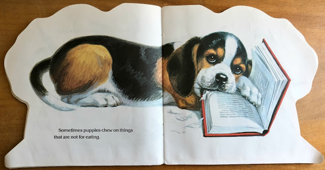 The Puppy Book by Jan Pfloog