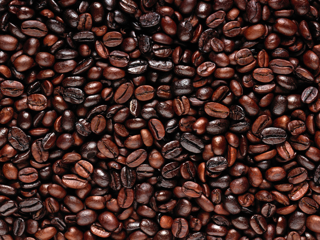 Image result for biji kopi Jawa
