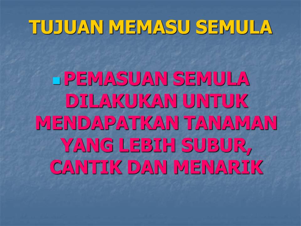 Kalian thesis kemahiran hidup 03 image