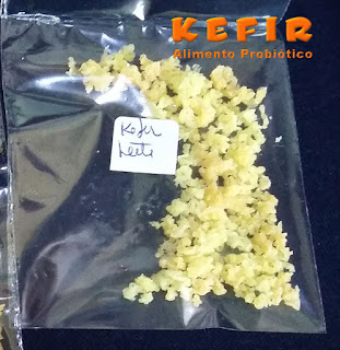 Kefir de leite desidratado pronto para doação 
