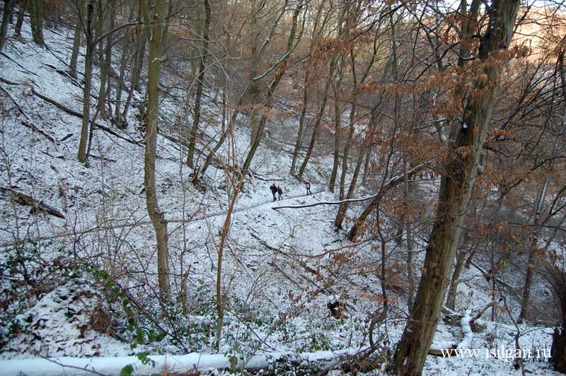 Замок Райнштайн. Германия.