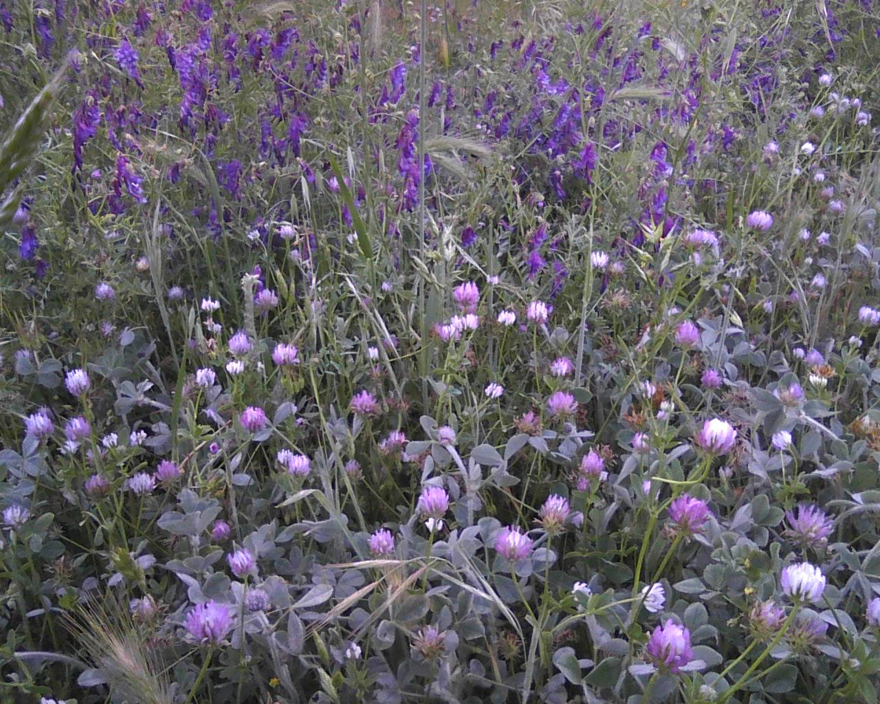 Medusa's Kitchen Bad Machines and Good Baseball