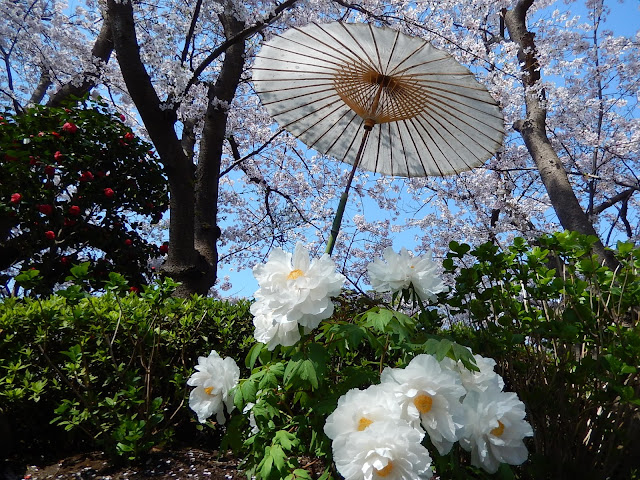 �߉������{�̏t�ڂ���