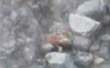 foto de los topos de mexico de ciro castillo muerto a 1000 metros de profundidad
