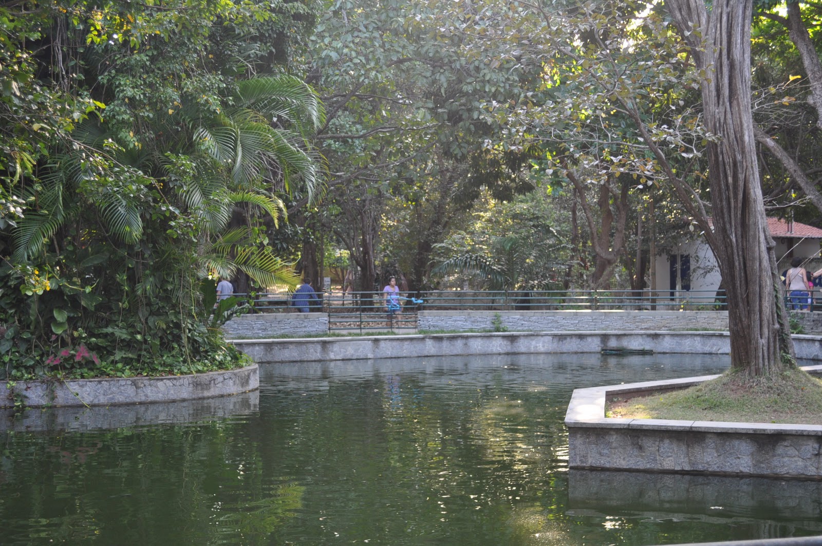 Cariocando por aí... Natal Natureza e