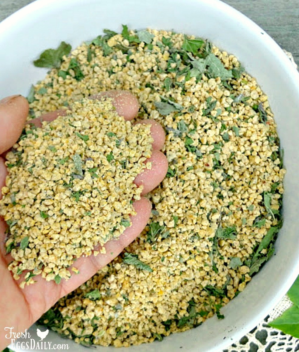 Adding Dried Herbs to your Chicken Feed Fresh Eggs Daily® with Lisa