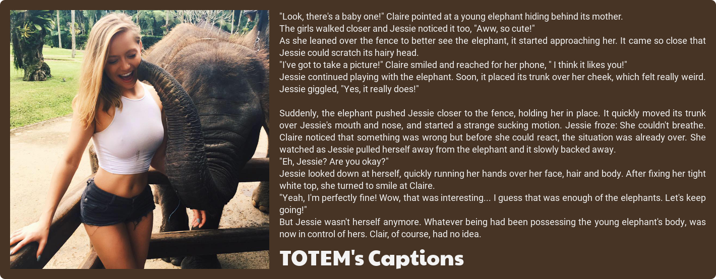 TOTEM's Captions. stolen. 