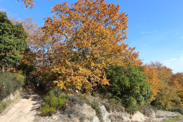 Valle de las Batuecas