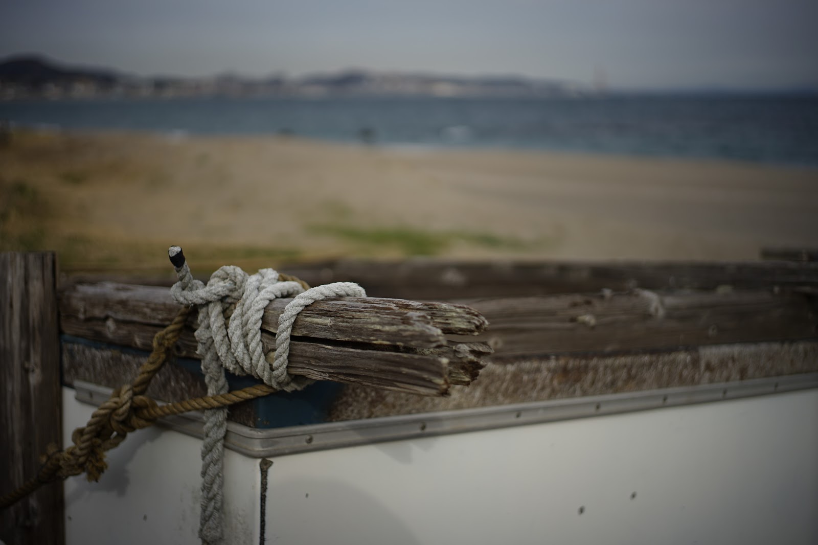 DSC06040.JPG