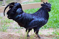 Current Affairs 31st March and 01st April 2018: Daily GK Update |_6.1