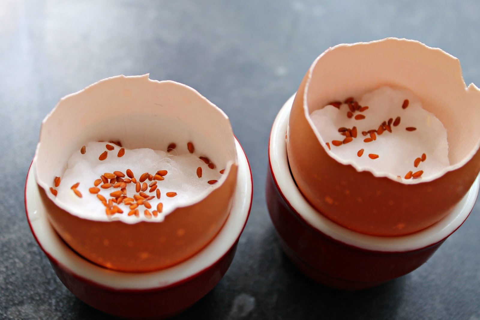 Cress Heads {Creative Summer 6} | The Mini Mes and Me