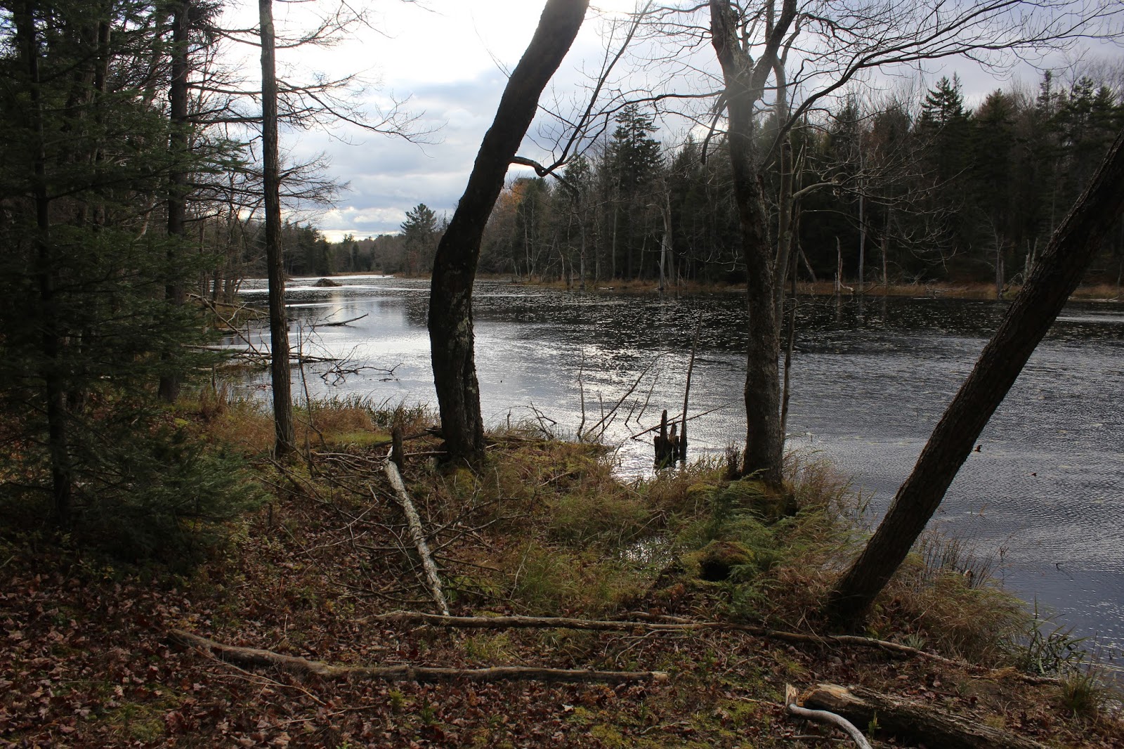 Walking Man 24 7 Dyken Pond(Rensselaer Plateau, NY)