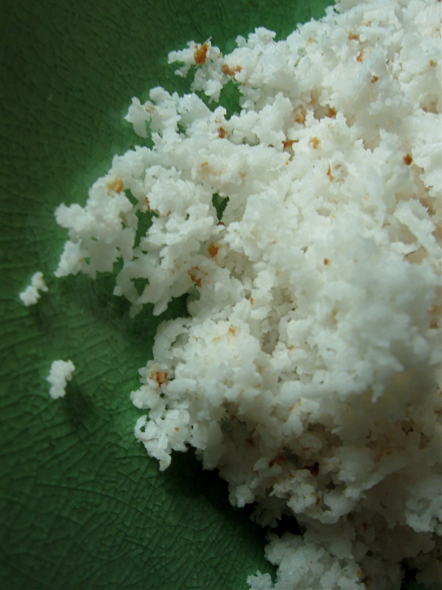 How to Milk a Coconut A TaytoRiCo Challenge Tangled Noodle