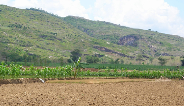 Pegunungan Kendeng Utara Pati, Kaya Hayati Dan Nabati | Pati Techno
