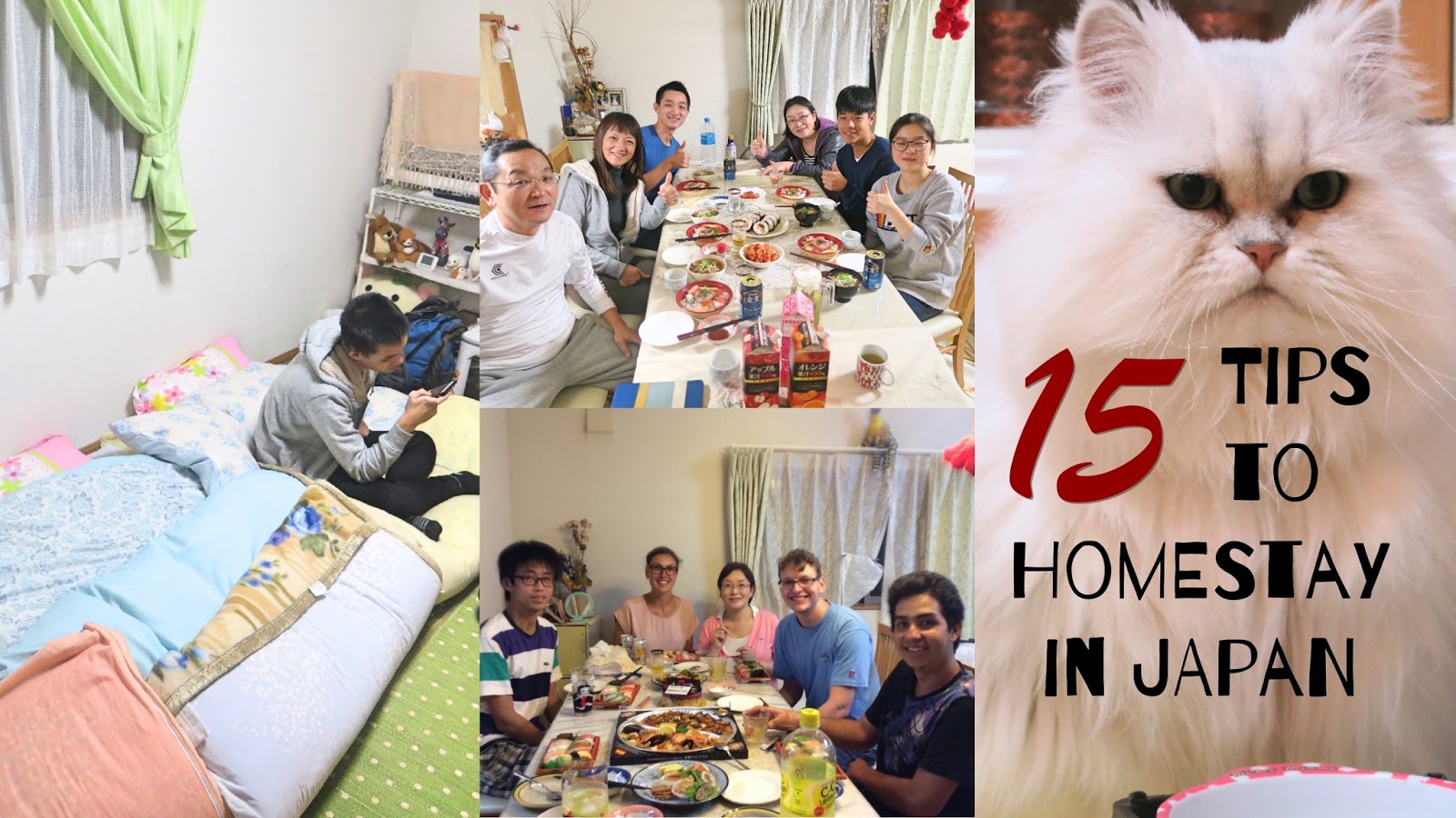 Miss HappyFeet 15 Tips for a Wonderful Homestay Experience in Japan