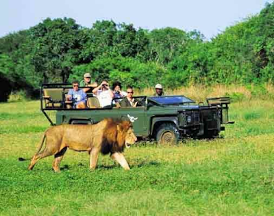 Environment, Forest and Climate Change Environment+Forest+and+Climate+Change