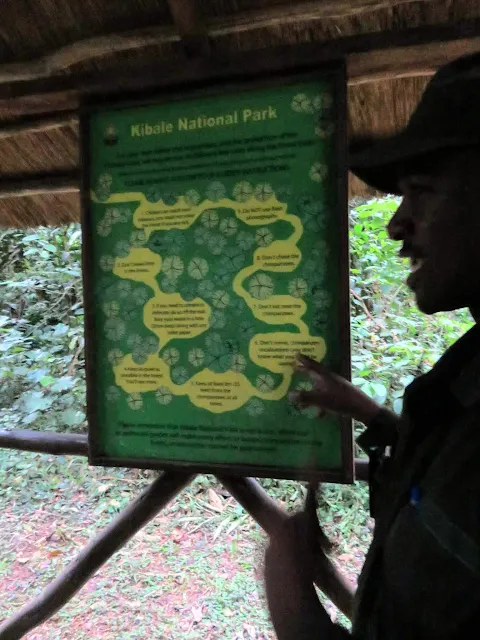 Going over the rules before tracking chimpanzees in Kibale National Forest in Uganda