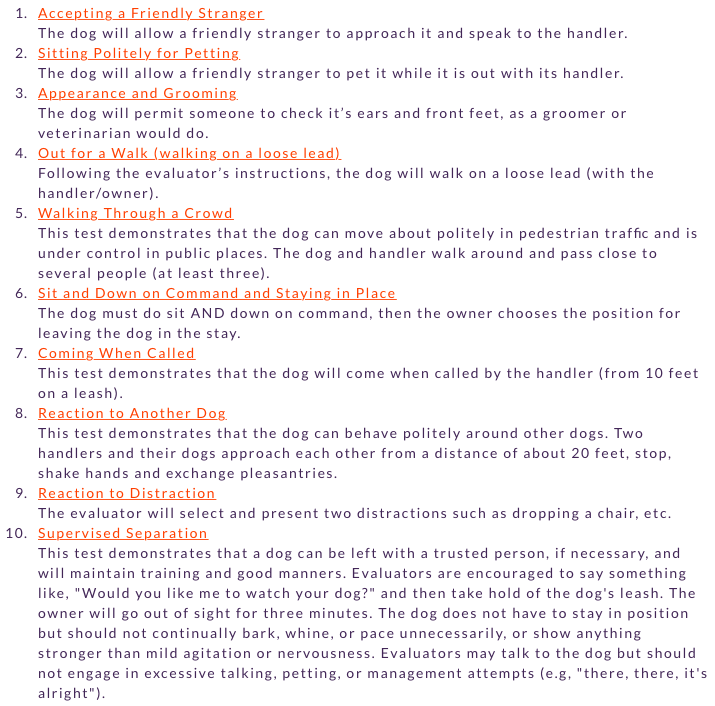 The Dog Blog OT Adventures with AnimalAssisted Therapy Training to