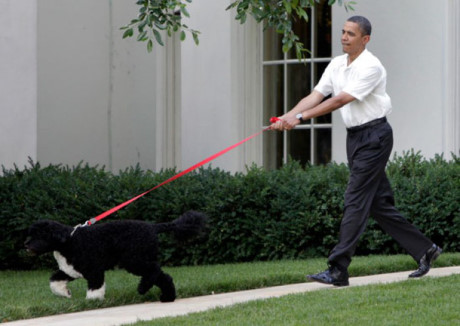 Khoanh khac doi thuong cua Tong thong My Obama - Anh 15