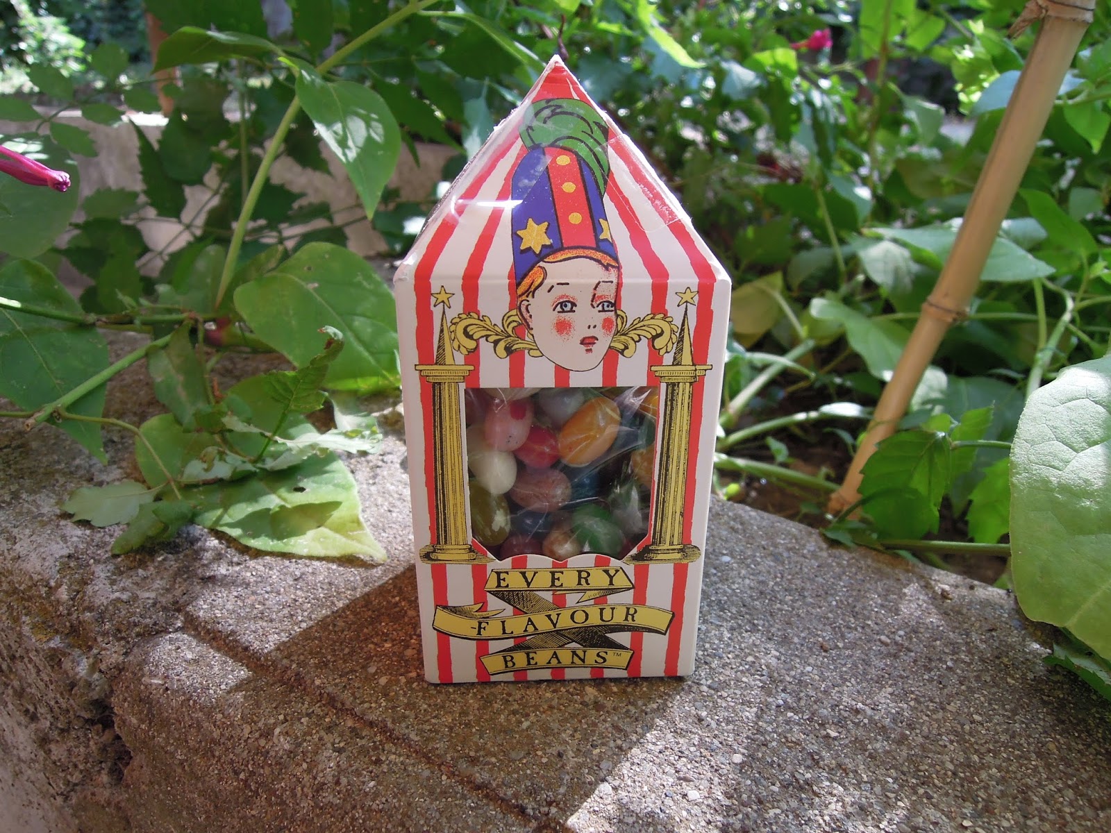 L'Escapade Gourmande: Les Dragées surprises de Bertie Crochue