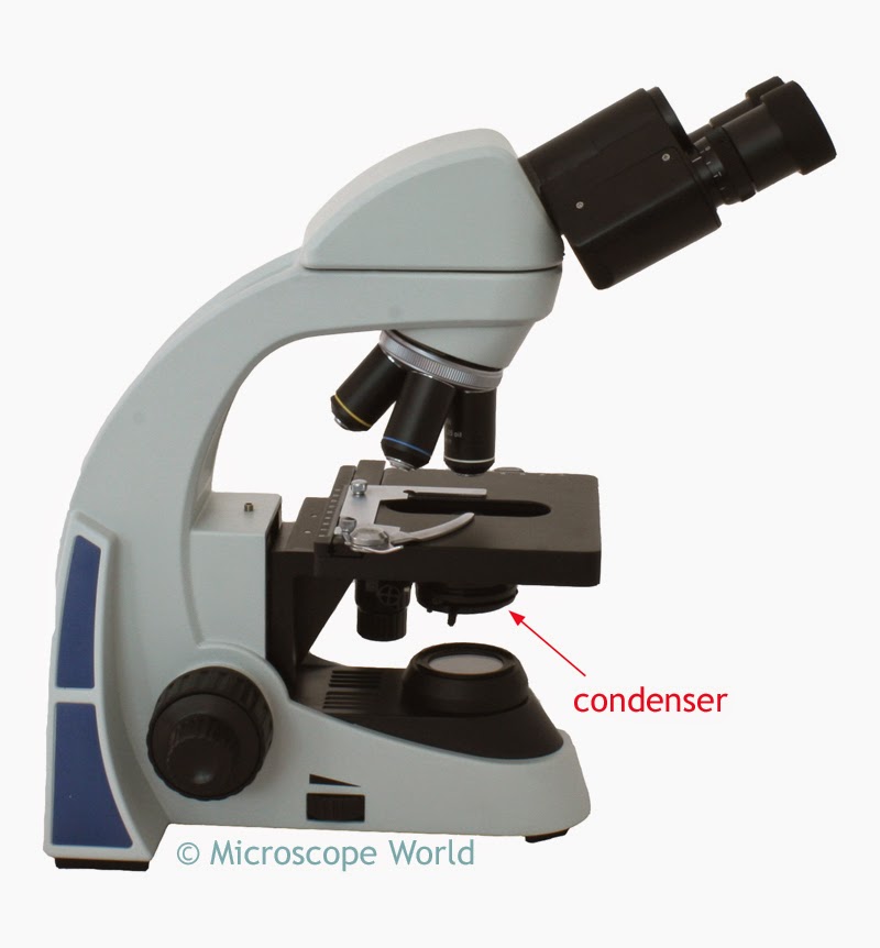 Microscope condenser image