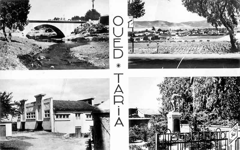 histiore et culture patrimoine d' Ain kermès Oued Taria, du