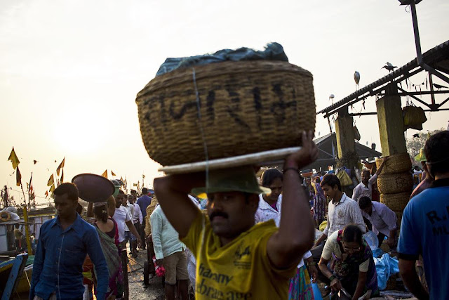 porter, basket of fish, sassoon docks, mumbai, fish market, morning, india, 