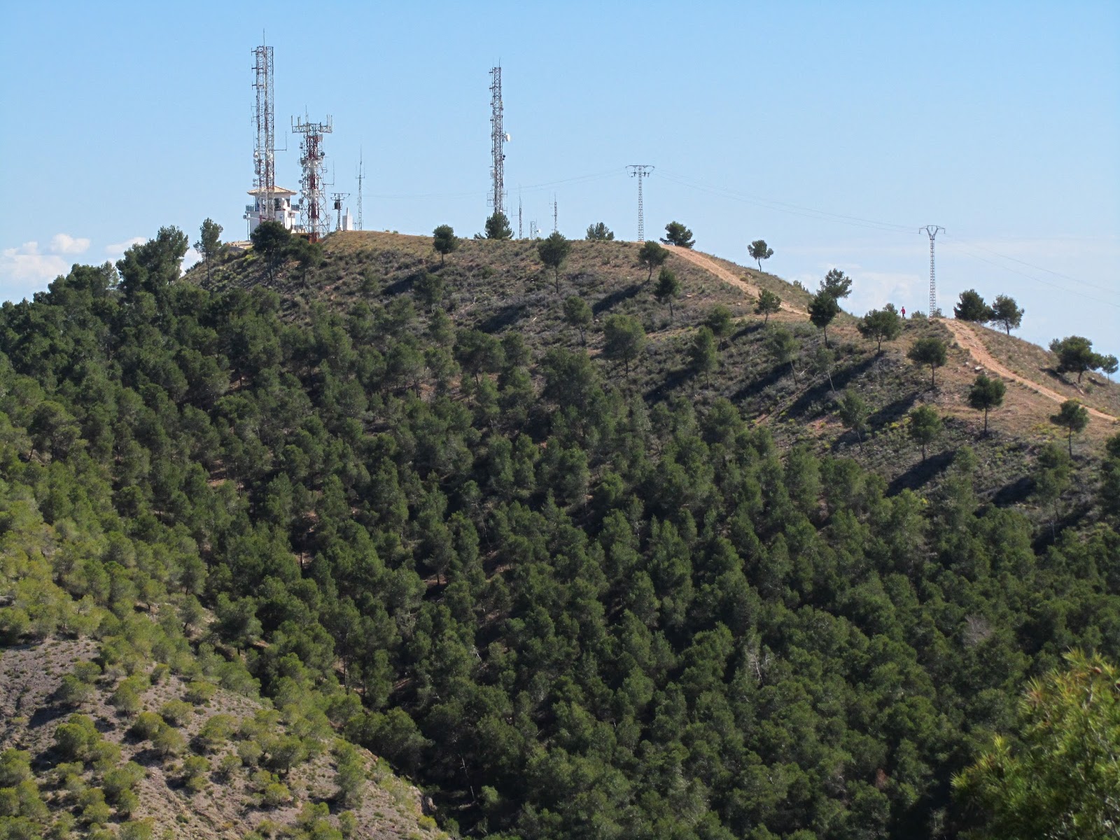 Un poco de todo Pico Relojero.