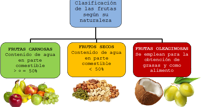 5TPIA14: Composición química de frutas y hortalizas