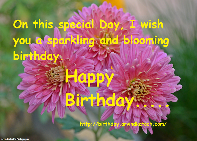 Sparkling, Blooming, Happy, Birthday, True Picture, Card