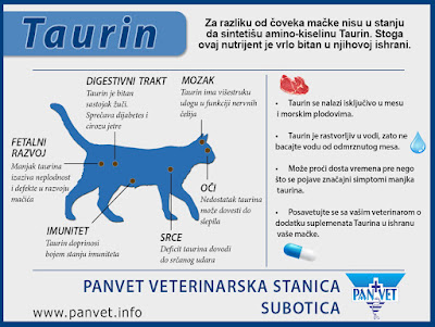 Taurin  - esencijalna aminokiselina za mačke Panvet Subotica