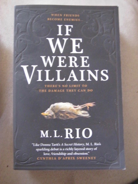 Book Review, If We Were Villains