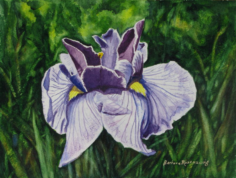 Artist Barbara Rosenzweig's Blog Art, Gardening, Photography, and