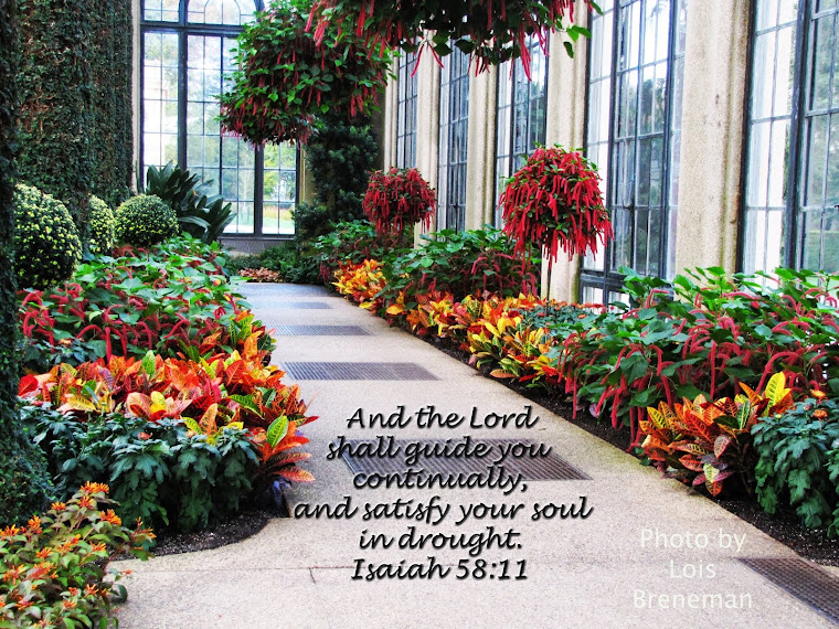 Garden Path - Isaiah 58:11