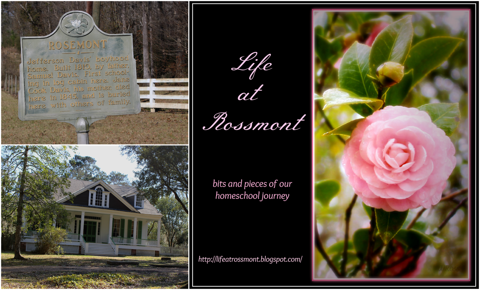 Life at Rossmont Rosemont Plantation, Jefferson Davis' boyhood home