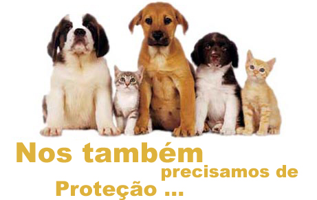 Resultado de imagem para conscientização do bem estar animal