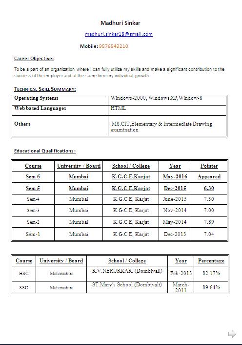 Textbox Resume Format in Word Format
