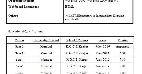 Textbox Resume Format in Word Format