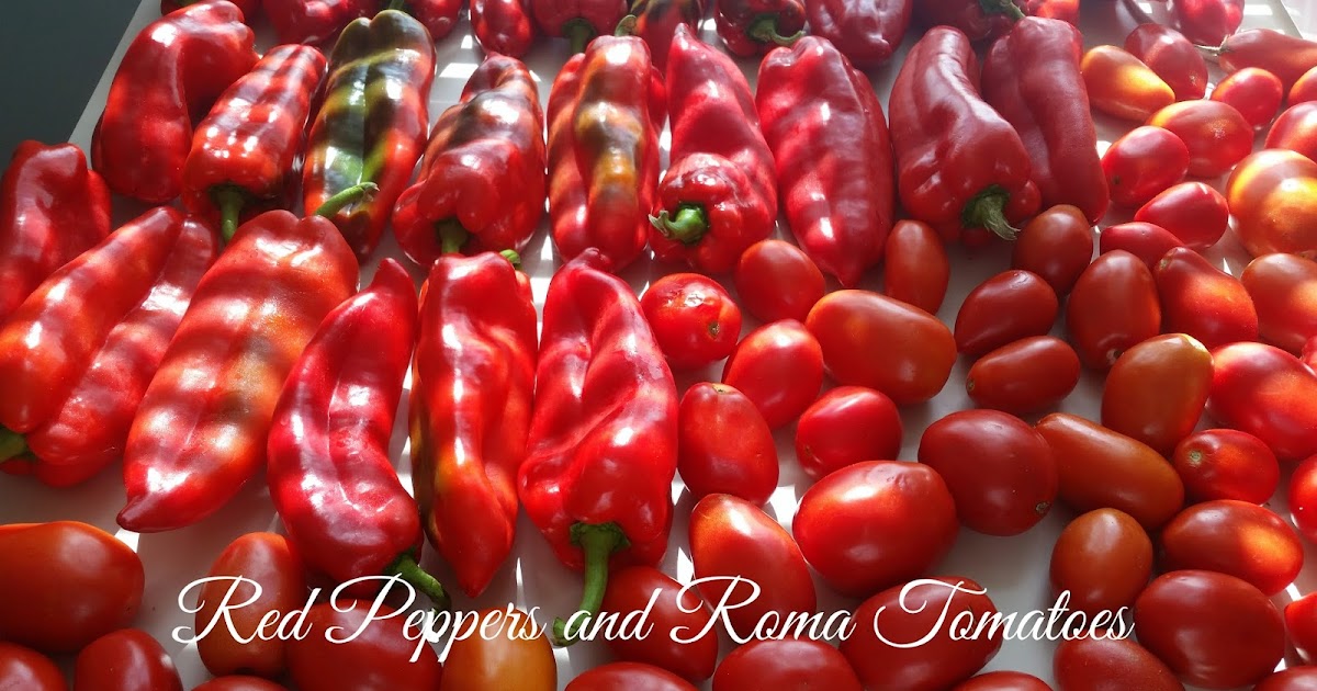 Roasted Red Peppers Buying & Storing When The Season Provides